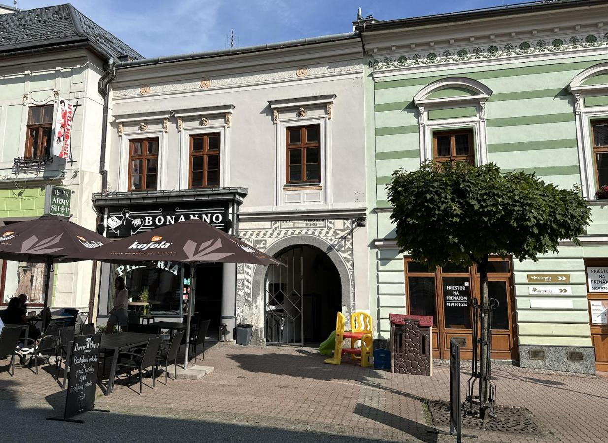 Old Town Apt. A/C And Parking 班斯卡-比斯特里察 外观 照片